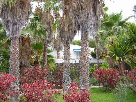 Holiday complex in La Palma