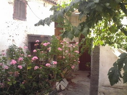 Teneriffa, Haus/Chalet in Granadilla de Abona