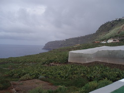 Tenerife, Finca in La Orotava