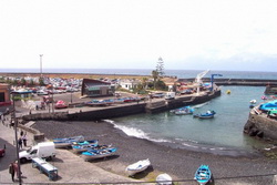 Tenerife, Estudio en Puerto de la Cruz