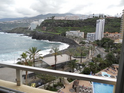 Tenerife, Estudio en Puerto de la Cruz