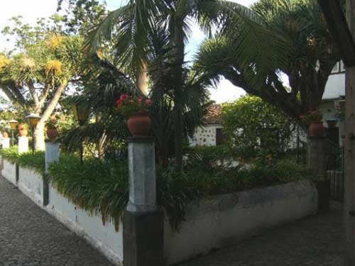 Haus mit land in Puerto de la Cruz