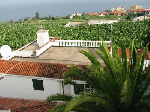 Large premise + home + 6 apts. in Puerto.