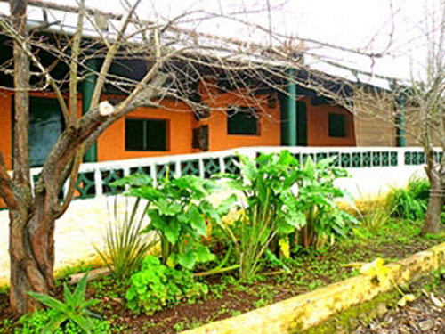 Finca with house in La Orotava